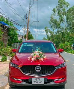 THUÊ XE HOA TỊNH BIÊN (4 TIẾNG) 15 Cho Thue Xe Hoa Gia Re O An Giang