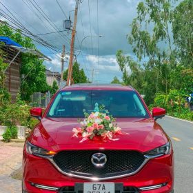 Sự Kiện: Sôi động mùa hè cùng Thắng Quyên Travel 15 Cho Thue Xe Hoa Gia Re O An Giang