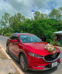 THUÊ XE HOA TỊNH BIÊN (4 TIẾNG) 16 Cho Thue Xe Hoa Mazda Cx5