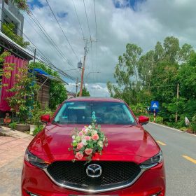 Sự Kiện: Sôi động mùa hè cùng Thắng Quyên Travel 20 Cho Thue Xe Hoa O An Giang
