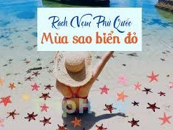 Tour rạch vẹm phú quốc (Người Lớn) 6 Tour Rach Vem Phu Quoc Gia Re