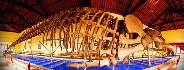 Thue Xe Du Lịch Di Phan Thiet 8