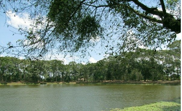 thuê xe du lịch đi Trà Vinh 9 Thue Xe Du Lich Di Tra Vinh 2